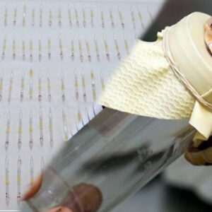 degeri 60 milyon 200u askin kobra yilani zehri ele gecirildi ydpDUWjL