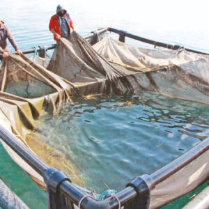 su urunleri otbsine basvurular basladi btikmKzH