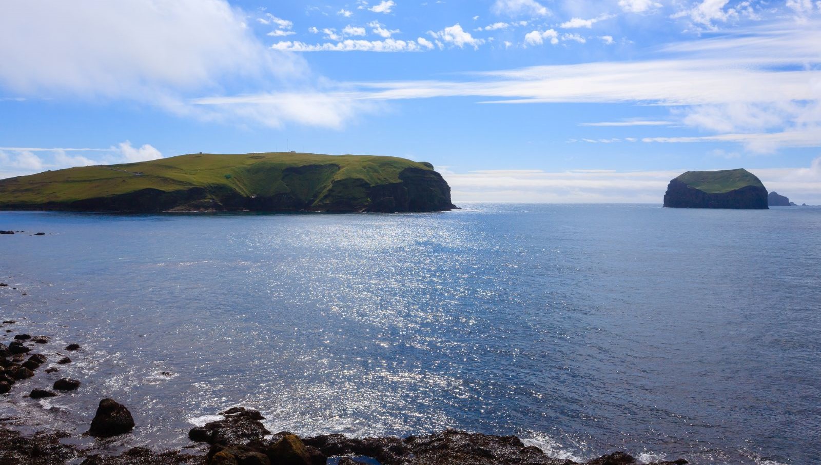 60 yil once dogan ada tabiatin kendini nasil onardiginin kaniti oldu qmJk64e7.jpg